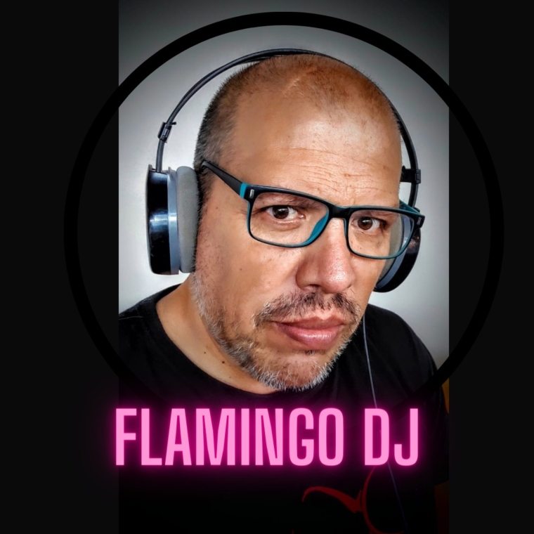 Flamingo DJ